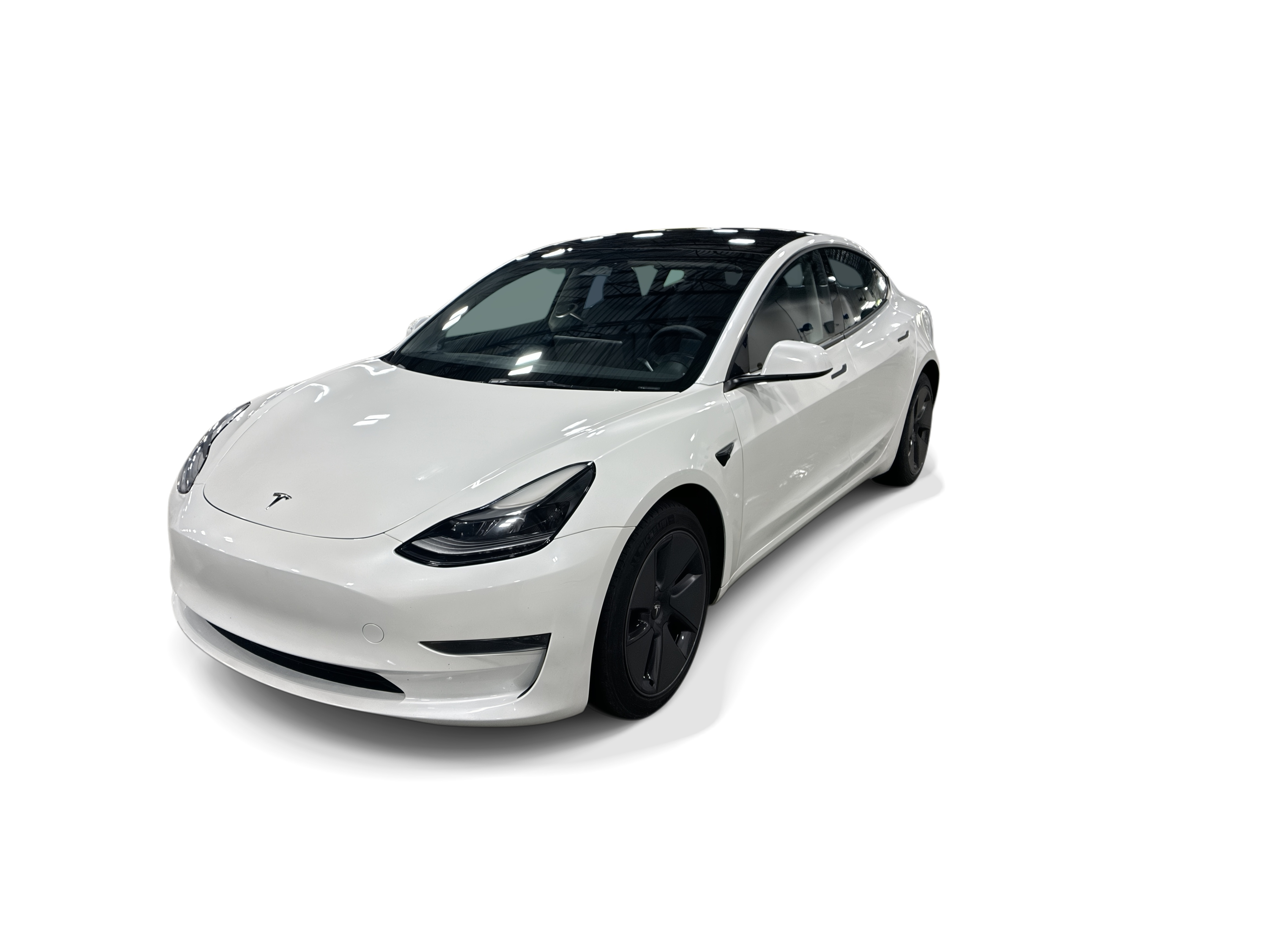 tesla model 3 2023 5YJ3E1EA7PF591817 image tesla model 3 2023 5YJ3E1EA7PF591817 image